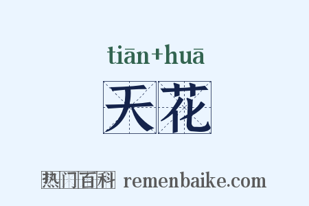 天花是什么意思的图片